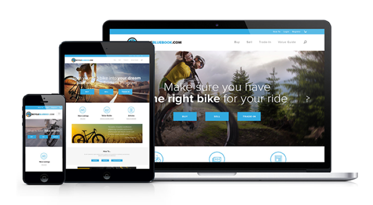 Large site image for Bicycle Blue Book